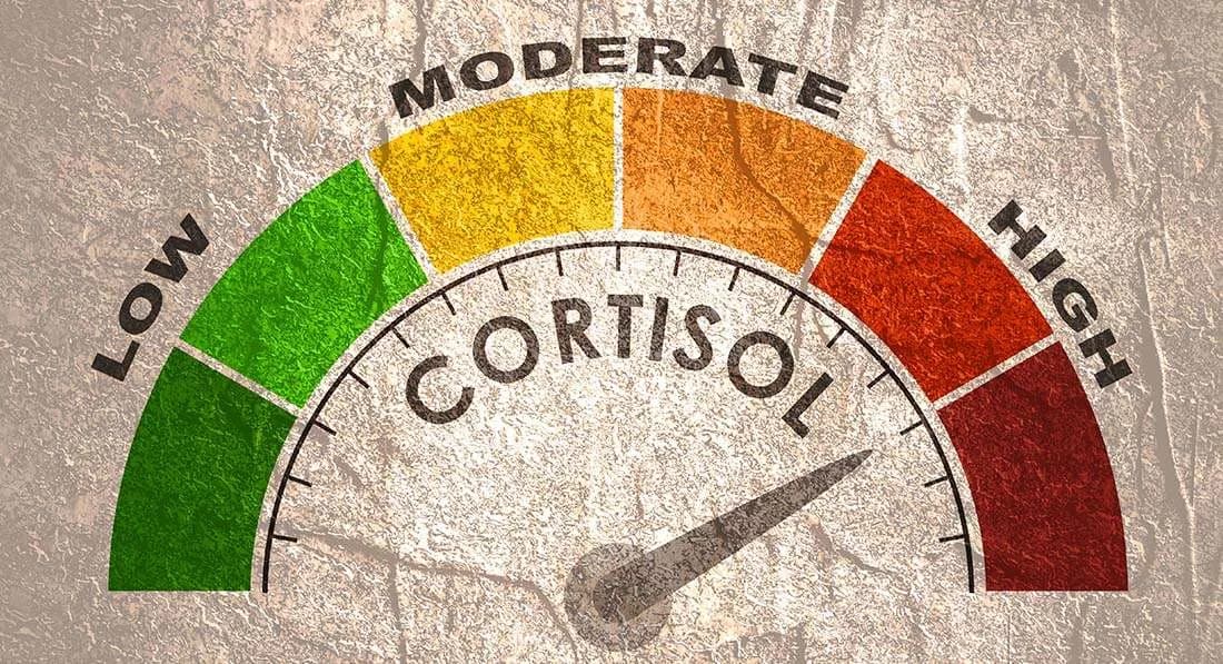How Cortisol And Weight Gain Are Actually Connected