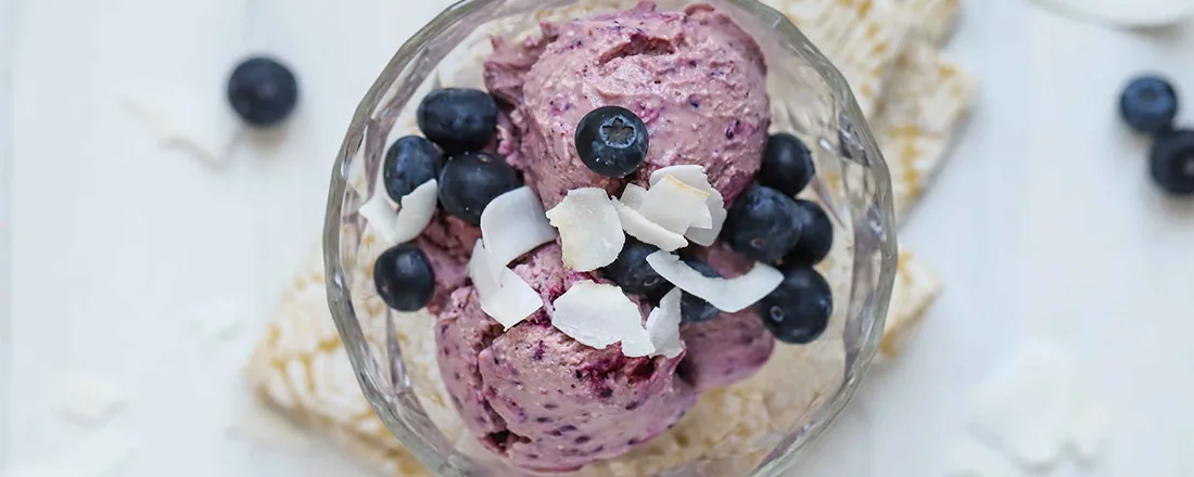 Smooth and Bold Blueberry Protein Ice Cream